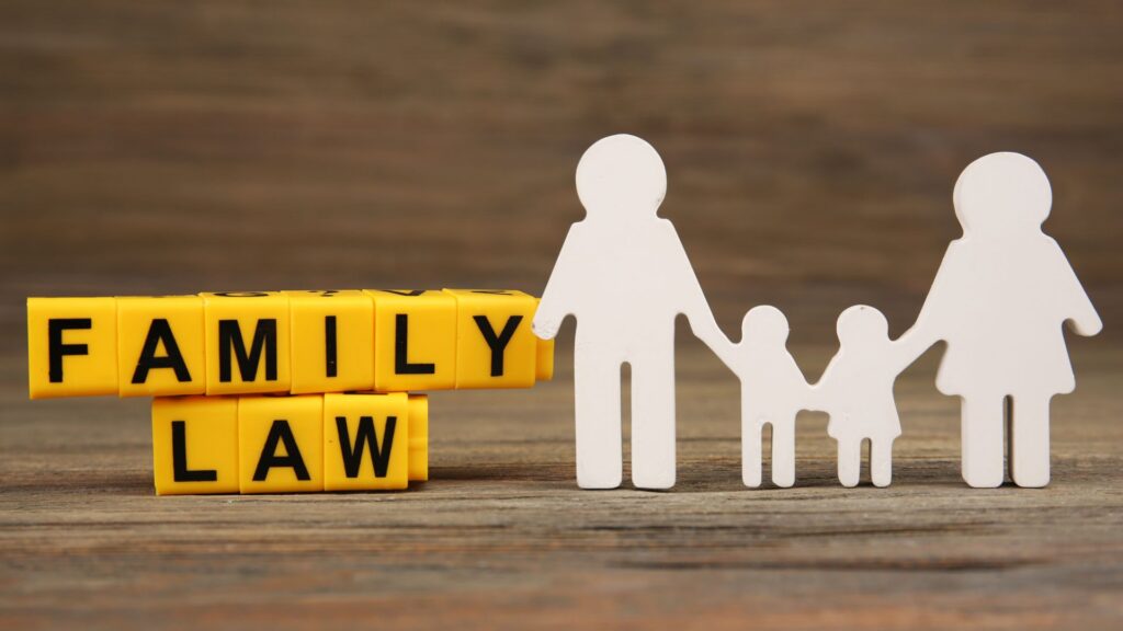 Common Services a Family Law Attorney in Metro Atlanta Can Help With in Georgia