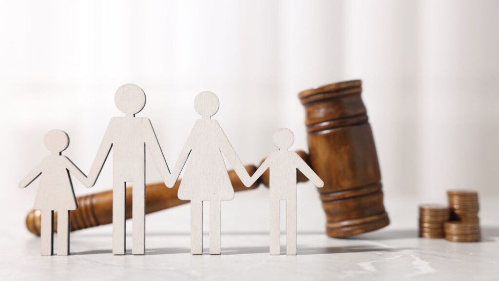 How a Georgia Alimony Calculation Lawyer Reviews All Income And Expenses